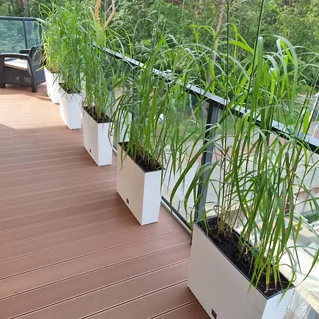 Dorisun-lighthouse Mrzeżyno